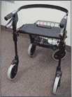 Dana Douglas INFINITY 500 Walker